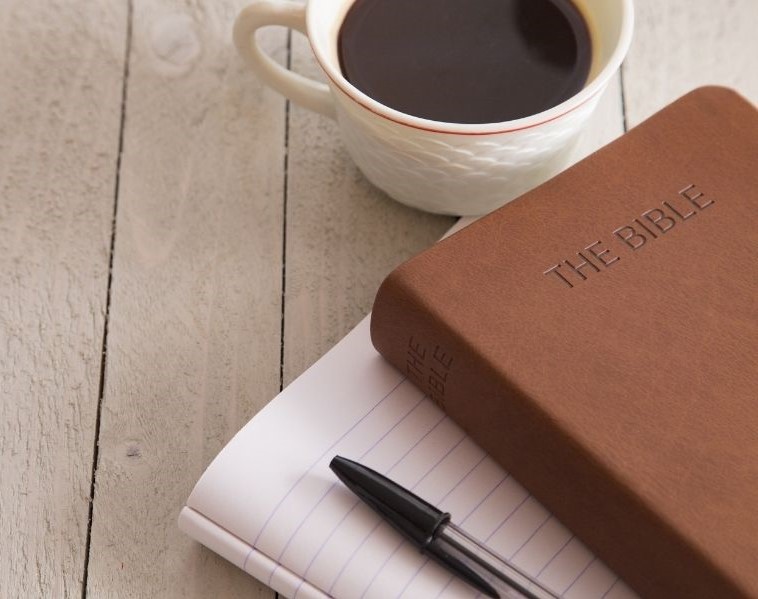 Image for Literary articles section